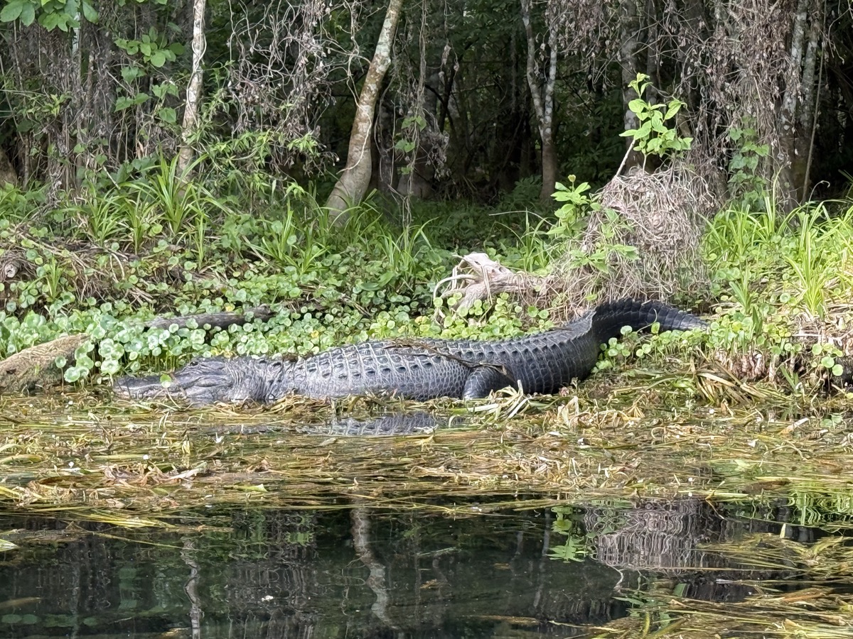 Guided Wildlife Eco Tours
